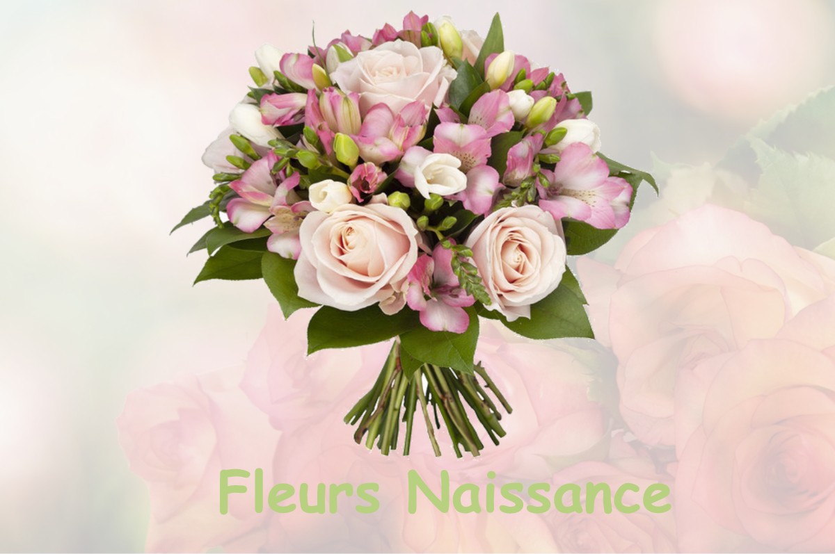 fleurs naissance CORNILLON-EN-TRIEVES