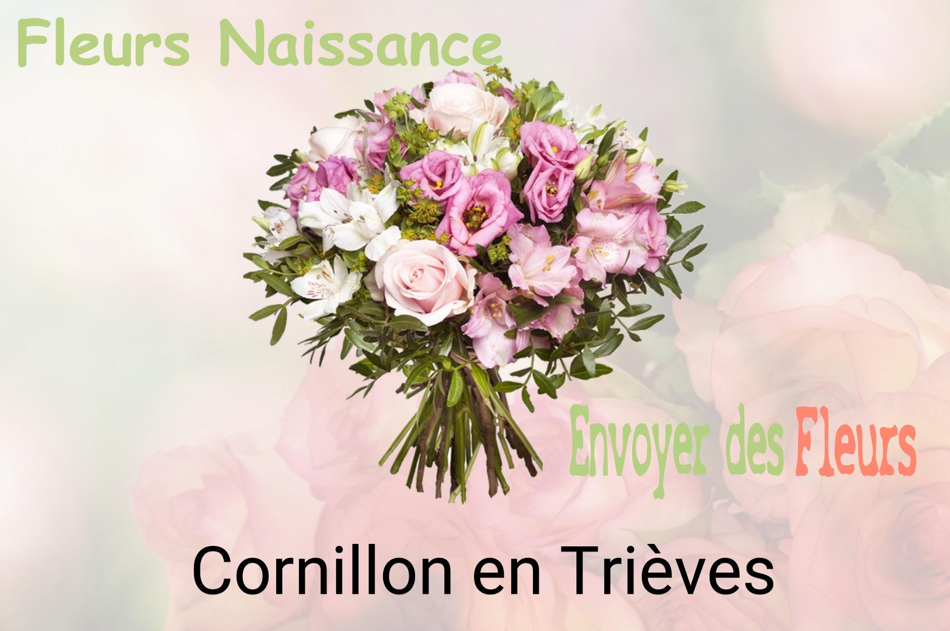 Bouquet de fleurs de naissance livré à Cornillon-en-Trièves
